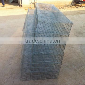 hot selling design layer chicken cages best steel quality
