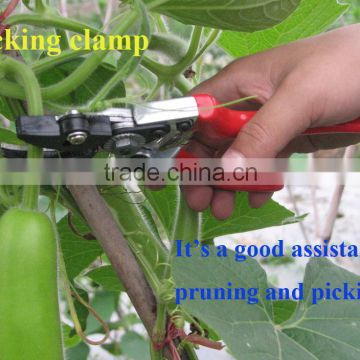 Convenient Vegatable And Melon Picking Clamp