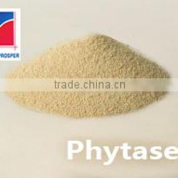 Phytase/ Phytase Powder from Qingdao GoodProsper