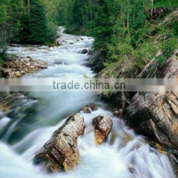 Forest streams pattern cloth painting