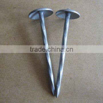 steel nail common iron nails and galvanized nail coil nail