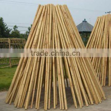 bamboo pole/cane/stick/stake