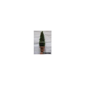 CHRISTMAS TREE/HIGH QUALITY AND TIMELY DELIVERY