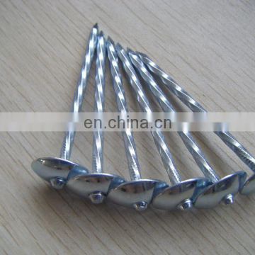 stainless steel Material and Concrete Nail Type stainless steel ring shank nails