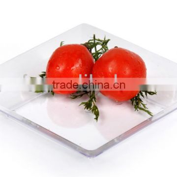 disposable plastic dinner plate with lid