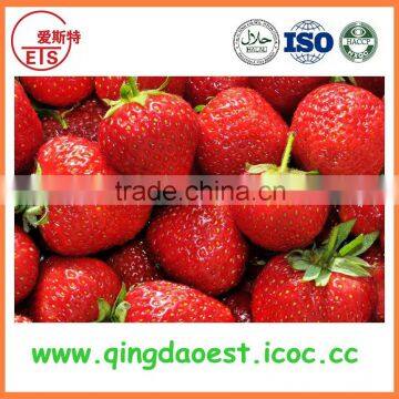 15-25 mm All stars Best quality Whole Fresh Strawberry