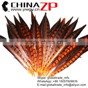 CHINAZP Factory Exporting Wholesale High Quality Dyed Orange Lady Amherst Pheasant Tail Feathers for DIY Decorations
