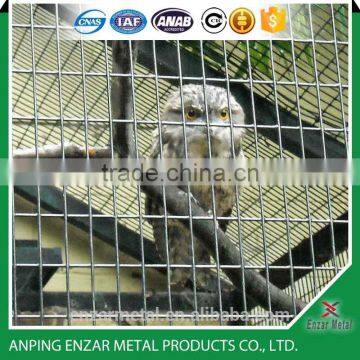 China professional cheap aviary wire mesh