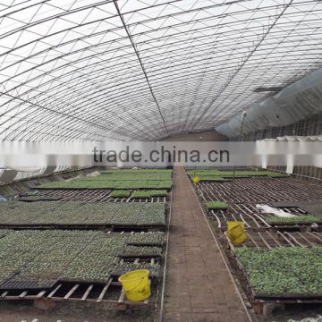 solar greenhouse with roofing plastic