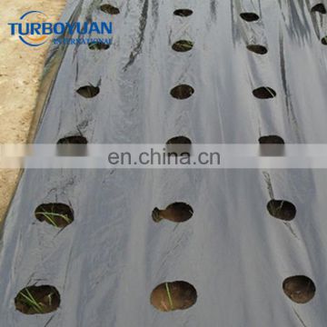 agricultural perforated plastic film black mulch film for strawberry
