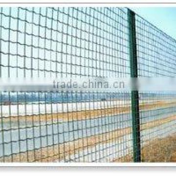 Factory Supply hot sale square wire mesh