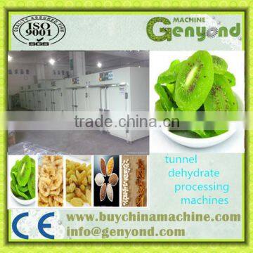 Fruit And Vegetable IQF frozen line / food freezing production line