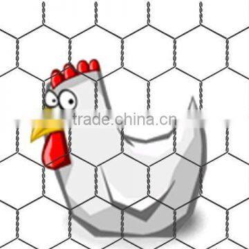 hexagonal wire netting