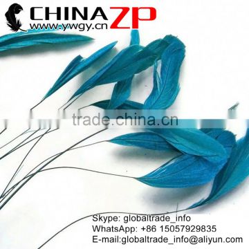Leading Supplier CHINAZP 10-15cm Length Fashion Dyed Turquoise Stripped Coque Chicken Tail Feathers