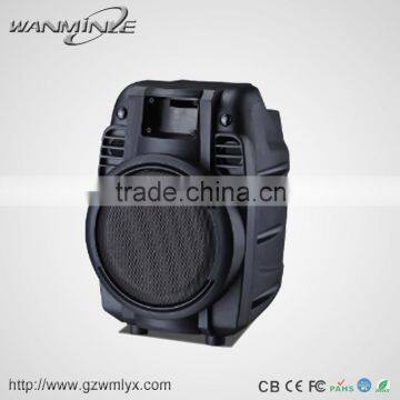 Black Color Plastic Portable Speaker With 30W Amplifier