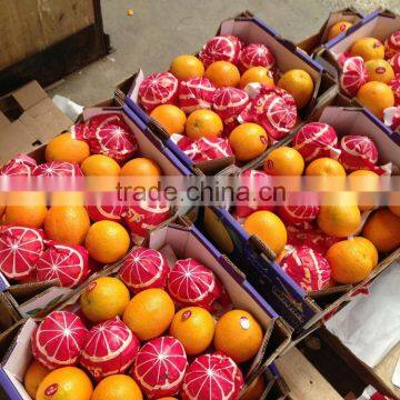 Pallets for Egyptian Oranges