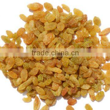 Raisins round natural type