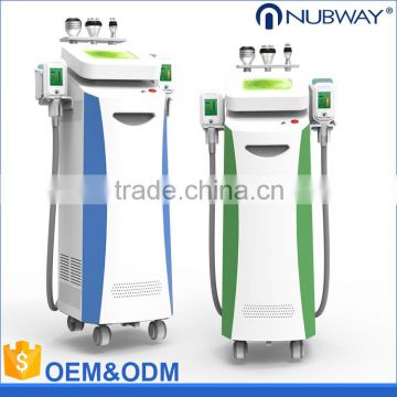 Body Shaping Criolipolisis Fat Reducing Machine 500W Cryolipolysis Price Freezing Cryolipolysis Machine Reduce Cellulite