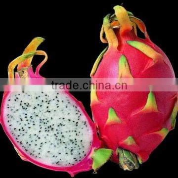 IQF dragon fruit