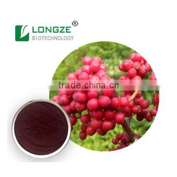 Free sample Nice Nutritonal Herbal Extract Elderberry Fruit Extract Powder Sambucus williamsii with Anthocyanindins 25%