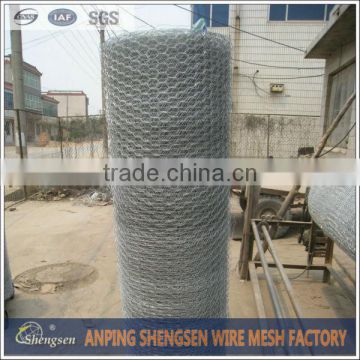 hexagonal small hole chicken wire mesh for bird cage
