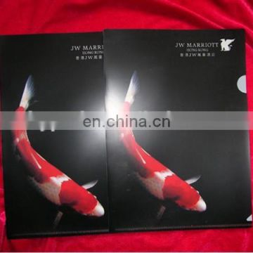 Fashional Factory Price Colored Plastic Folders for Document