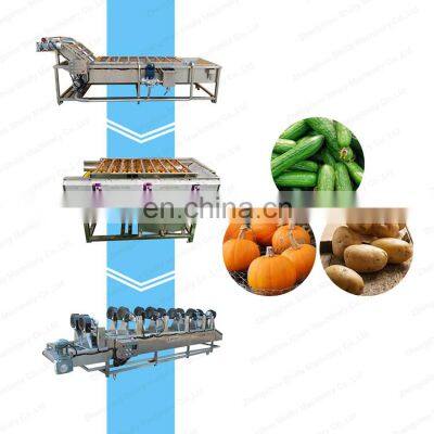 fruit processing mango line fruit cleaner washer washing cleaning machine