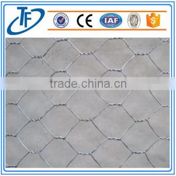 Low Price Galvanized Hexagonal Wire Mesh/Chicken Hexagonal Wire Mesh/ PVC Coated Hexagonal Wire Mesh Roll (Direct Factory)