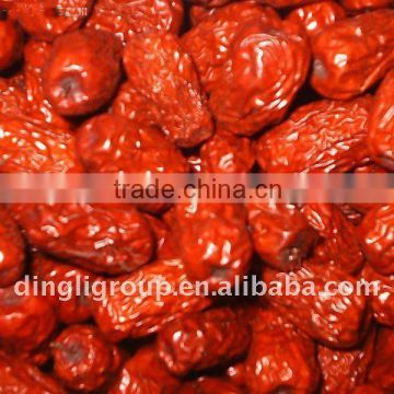 organic dried date, date syrup, FD date powder, date beer
