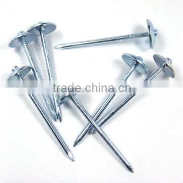 high quality low carbon steel nail galvanized nail