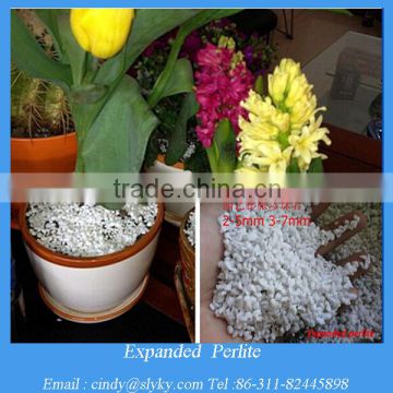 expanded perlite in gardening
