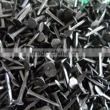 construction black concrete steel nail (manufacturers)