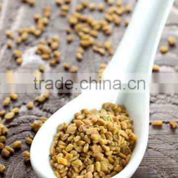 FENUGREEK SEEDS