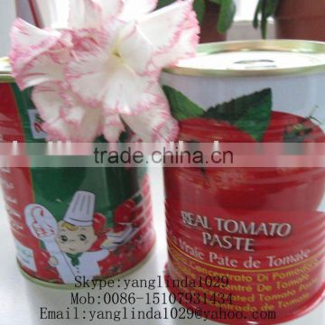Tinned Tomato Paste