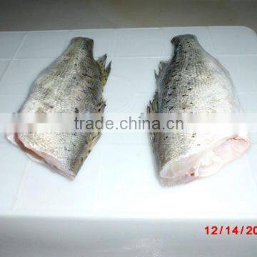 frozen seabass/chilean seabass fish fillet