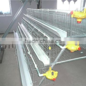 automatic poultry drinking for broiler chicken