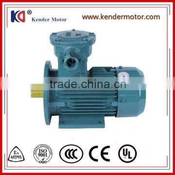 High Voltage Explosion Proof Electric Motor