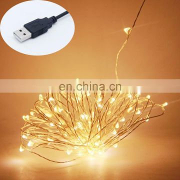 USB Fairy Starry String Lights 33ft 100 LED Copper String Holiday Decors