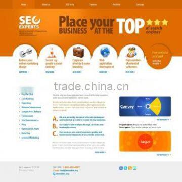 SEO Packages in India