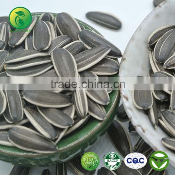 Chinese Black Sunflower Seeds Type 5009 , Hot Sale!!