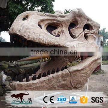 OA-DS-20160505S9 Life Size Dinosaur Head Fossil