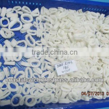FROZEN SQUID RINGS BLANCHED IQF