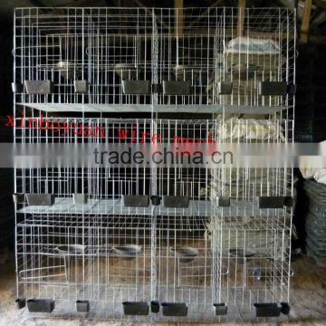 Welded Pigeon Cages