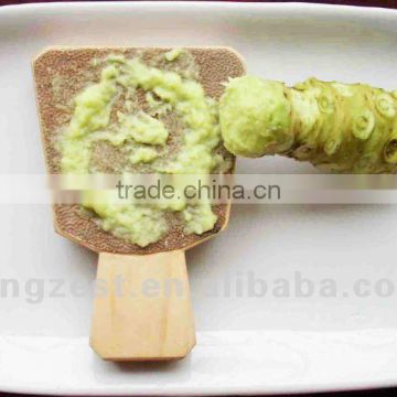 43g japanese horseradish paste WASABI condiment