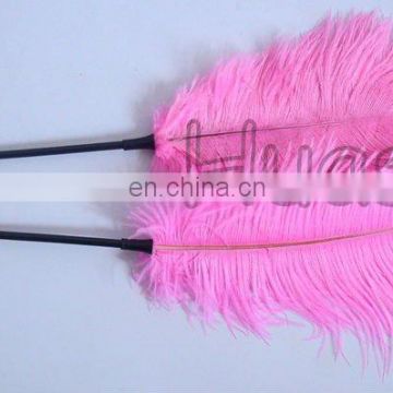 Feather tickler, party toy, party favor,