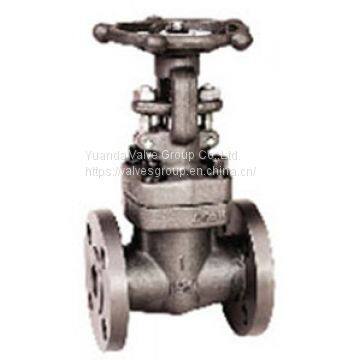 Forged Steel Gate Valve