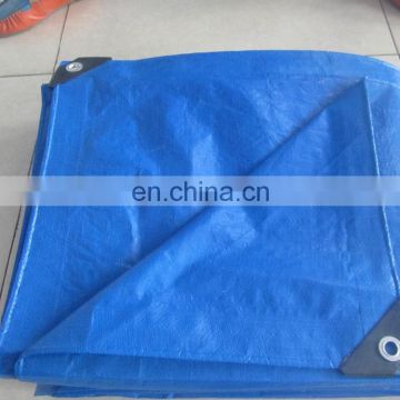 Reinforced HDPE plastic tarpaulin for fumigation of grain processing for sale