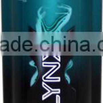 Axe Shamp 300 ml Secure Anti-Dandruff 2in1