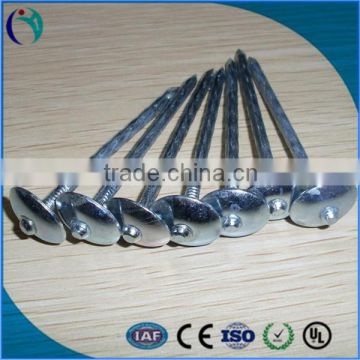 corrugated roofing nails manufacturers in china