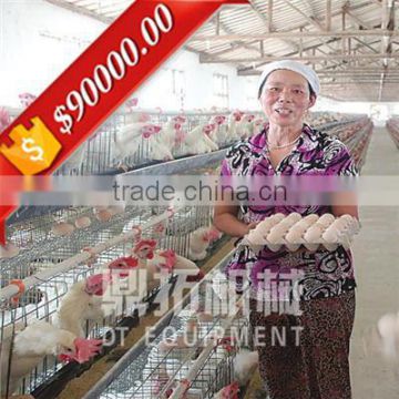 Automatic feeding equipment A type automatic layer poultry cages in nigeria